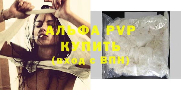 PSILOCYBIN Иннополис