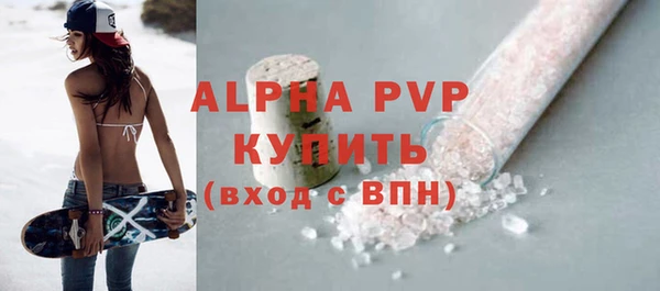 хмурый Каменка